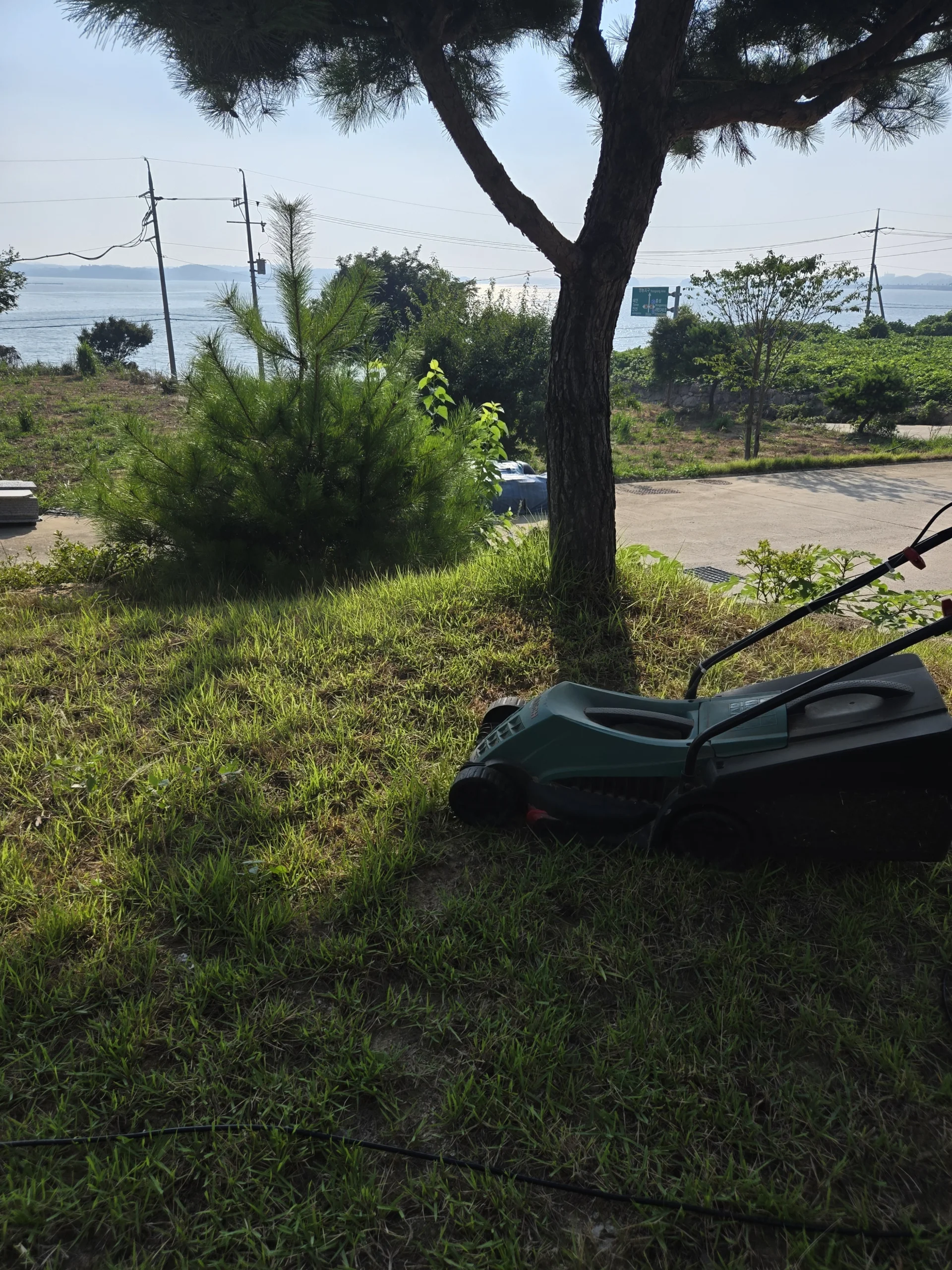 잔디관리 실전교육